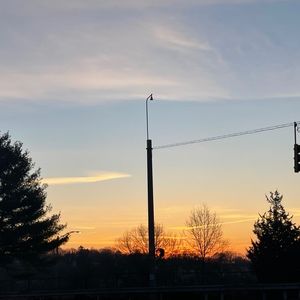 Meet your Posher, Pinga